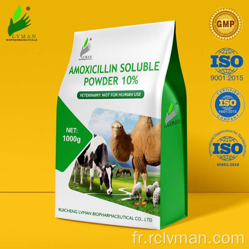 10% de poudre soluble d&#39;amoxicilline pour une utilisation animale uniquement